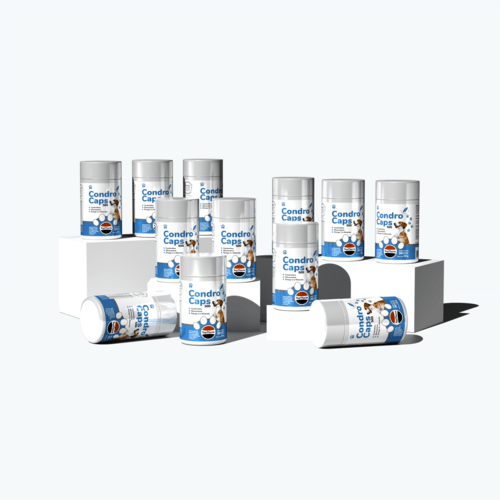 Como tomar CondroCaps Linha PET 500 TopTherm